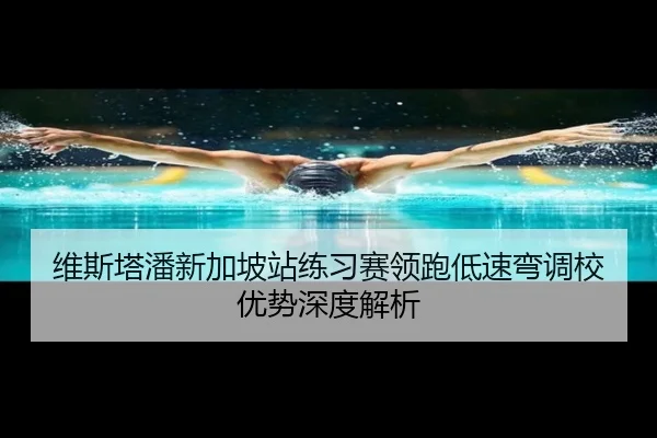 维斯塔潘新加坡站练习赛领跑低速弯调校优势深度解析